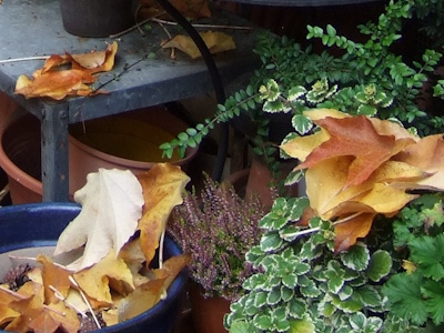 Herbstlaub auf Blumentöpfen