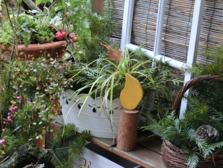 Winterliches Ensemble mit wintergrünen Pflanzen im Blumentopf und weißer Dekowanne sorgen mit weißem Dekofensterrahmen sowie aus Holz geschnitzter Kerze für Weihnachtsstimmung. 